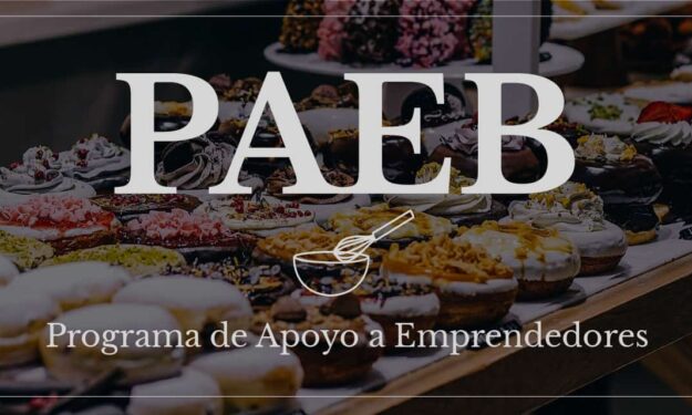¡Te presentamos el PAEB! - Apoyo a Emprendedores